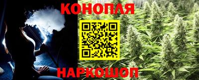 спайс Коммунар