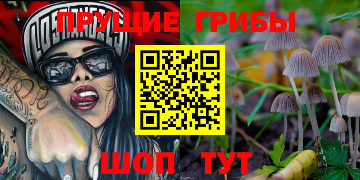 Галлюциногенные грибы Cubensis Кудымкар