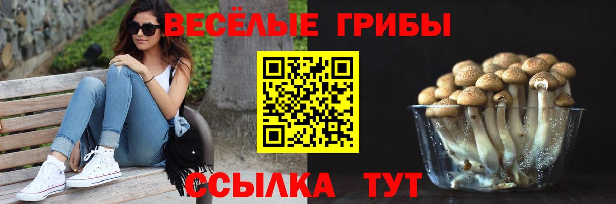 Галлюциногенные грибы Psilocybe  Псилоцибиновые грибы прущие грибы  Вход с VPN  Кудымкар 