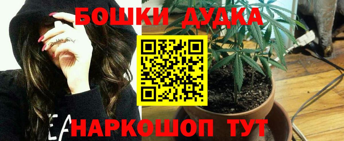 Шишки марихуана OG Kush Кудымкар